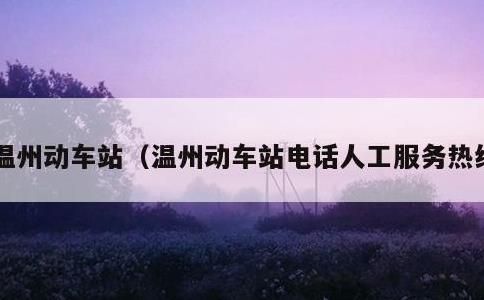 温州动车站，温州动车站电话人工服务热线