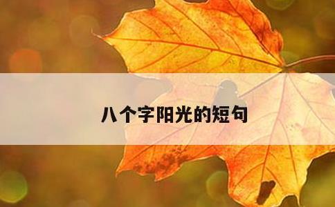 八个字阳光的短句