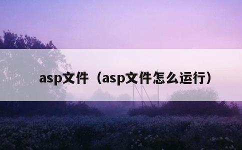 asp文件，asp文件怎么运行