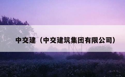 中交建，中交建筑集团有限公司