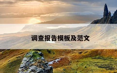 调查报告模板及范文