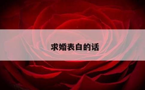 求婚表白的话