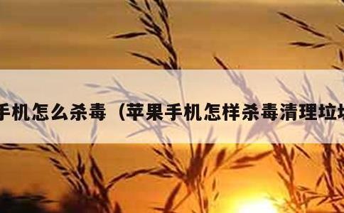 手机怎么杀毒，苹果手机怎样杀毒清理垃圾