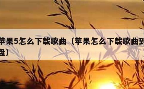 苹果5怎么下载歌曲，苹果怎么下载歌曲到u盘