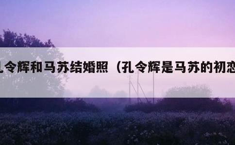 孔令辉和马苏结婚照，孔令辉是马苏的初恋吗