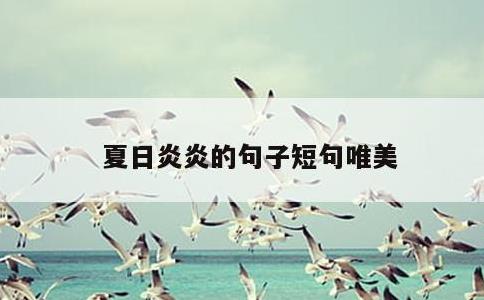 夏日炎炎的句子短句唯美