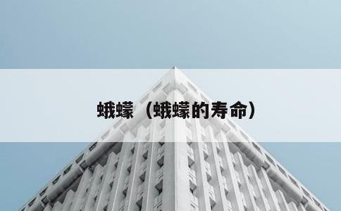 蛾蠓，蛾蠓的寿命