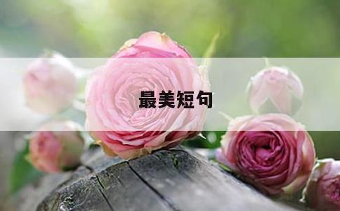 最美短句