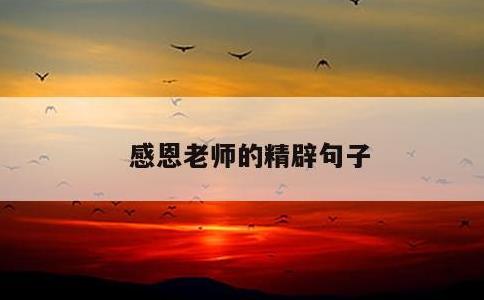 感恩老师的精辟句子