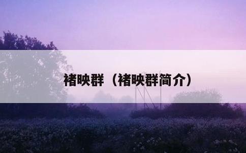 褚映群，褚映群简介