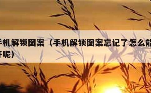 手机解锁图案，手机解锁图案忘记了怎么能解开呢