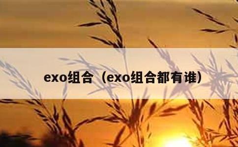 exo组合，exo组合都有谁