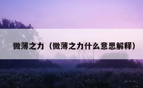 微薄之力，微薄之力什么意思解释