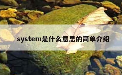 system是什么意思的简单介绍
