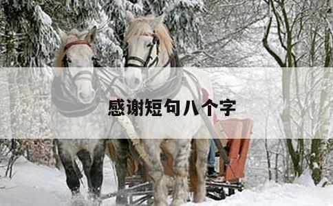 感谢短句八个字