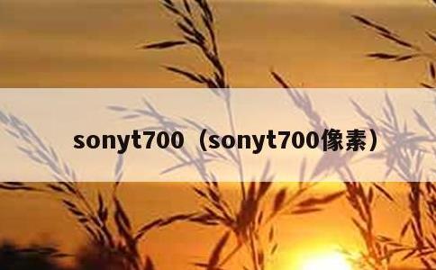 sonyt700，sonyt700像素
