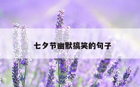 七夕节幽默搞笑的句子