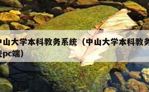 中山大学本科教务系统，中山大学本科教务系统pc端