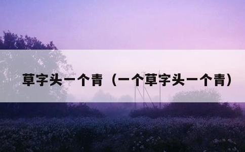 草字头一个青，一个草字头一个青