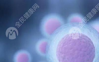 男的未婚做试管婴儿