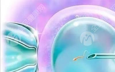 烟台芝罘区试管婴儿成功率高吗？