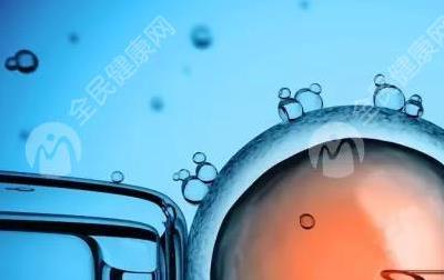 试管卵泡太大30mm受孕成功吗?