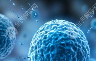 2025成都试管婴儿费用是多少?