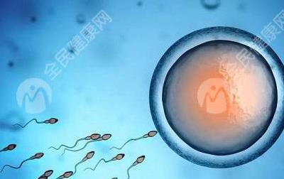 多囊卵巢做试管能怀孕吗，多囊患者试管移植方案费用详解