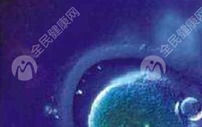 襄阳谷城县试管婴儿哪家好？