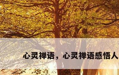 心灵禅语，心灵禅语感悟人生