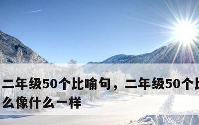 二年级50个比喻句，二年级50个比喻句什么像什么一样