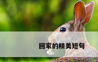 回家的精美短句