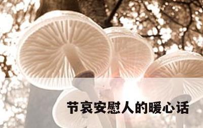 节哀安慰人的暖心话