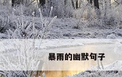 暴雨的幽默句子