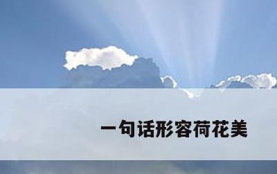 一句话形容荷花美