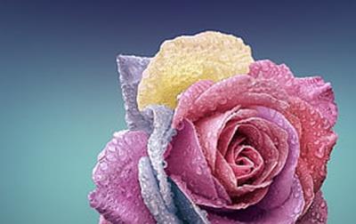 每日开心一刻笑话大全