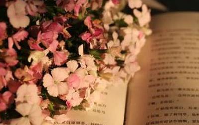 带花的诗词佳句有哪些