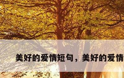 美好的爱情短句，美好的爱情短语