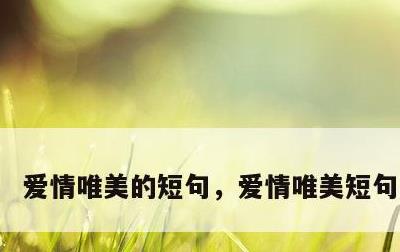 爱情唯美的短句，爱情唯美短句八个字