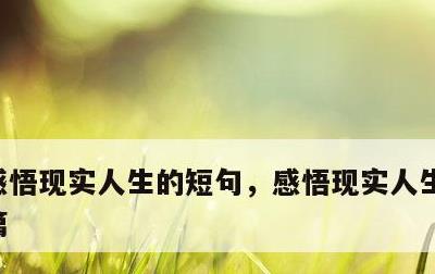 感悟现实人生的短句，感悟现实人生的短句长篇