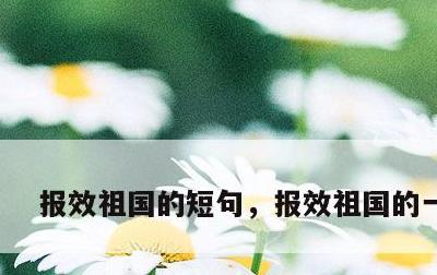 报效祖国的短句，报效祖国的一句话