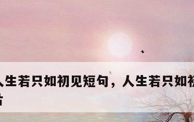 人生若只如初见短句，人生若只如初见短句图片