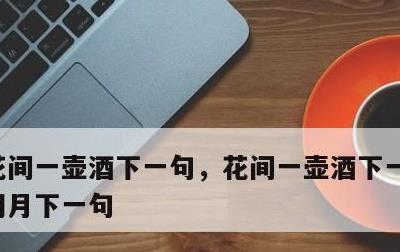 花间一壶酒下一句，花间一壶酒下一句举杯邀明月下一句