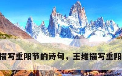 描写重阳节的诗句，王维描写重阳节的诗句