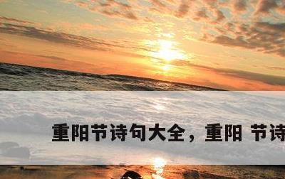 重阳节诗句大全，重阳 节诗句