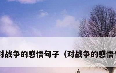 对战争的感悟句子，对战争的感悟句子摘抄