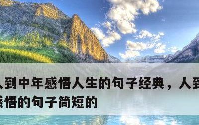 人到中年感悟人生的句子经典，人到中年人生感悟的句子简短的