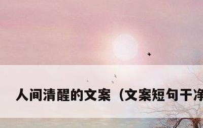 人间清醒的文案，文案短句干净治愈