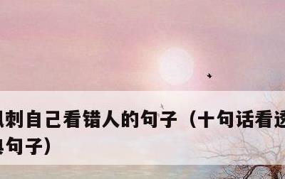 讽刺自己看错人的句子，十句话看透人心的经典句子