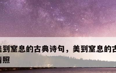 美到窒息的古典诗句，美到窒息的古典诗句李清照